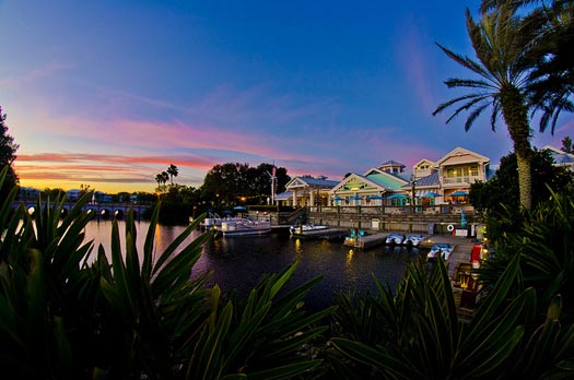 DVC Contract Transfer Process Step-by-Step