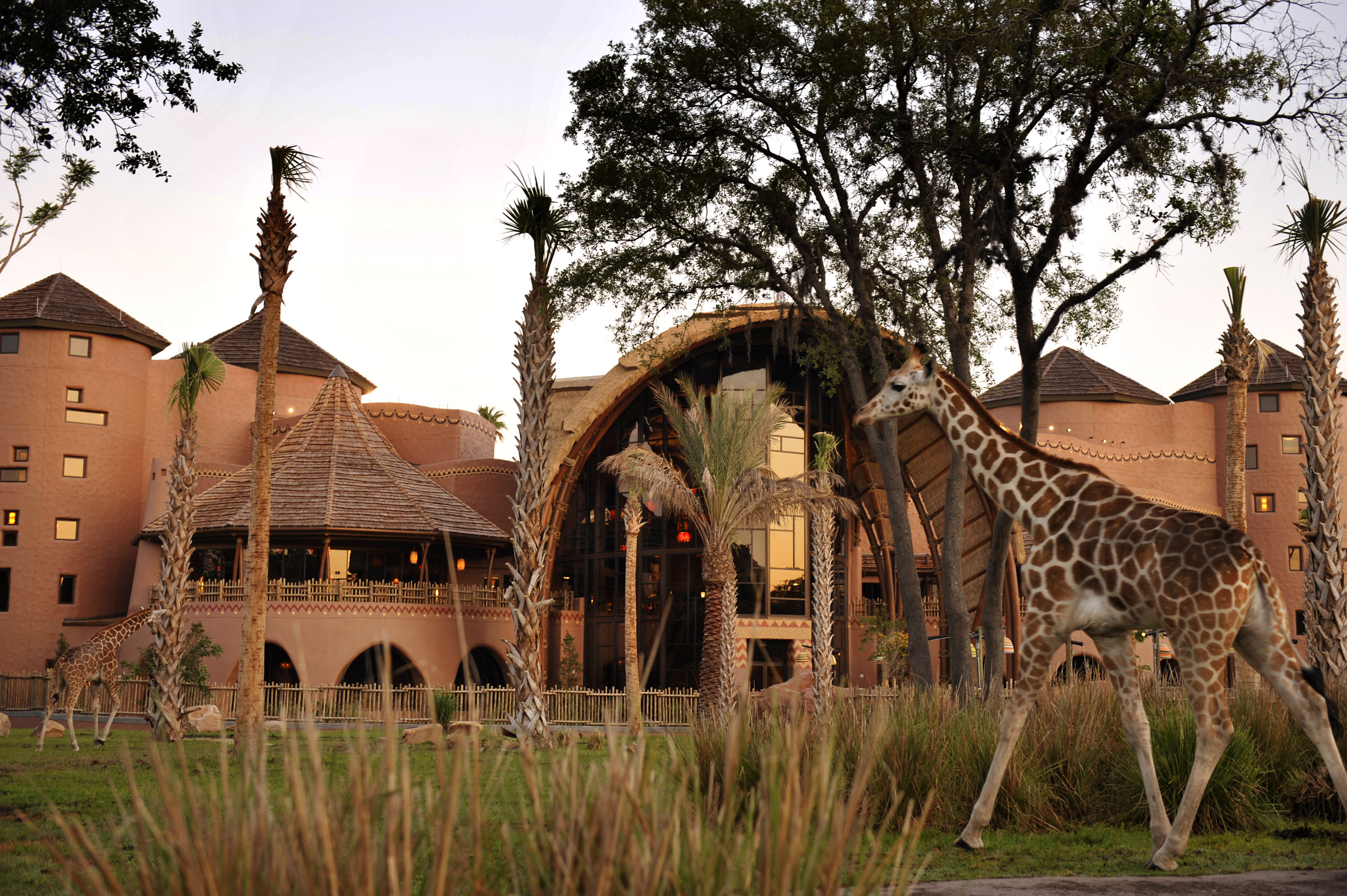 Animal Kingdom Lodge: Savanna Views and DVC Ownership