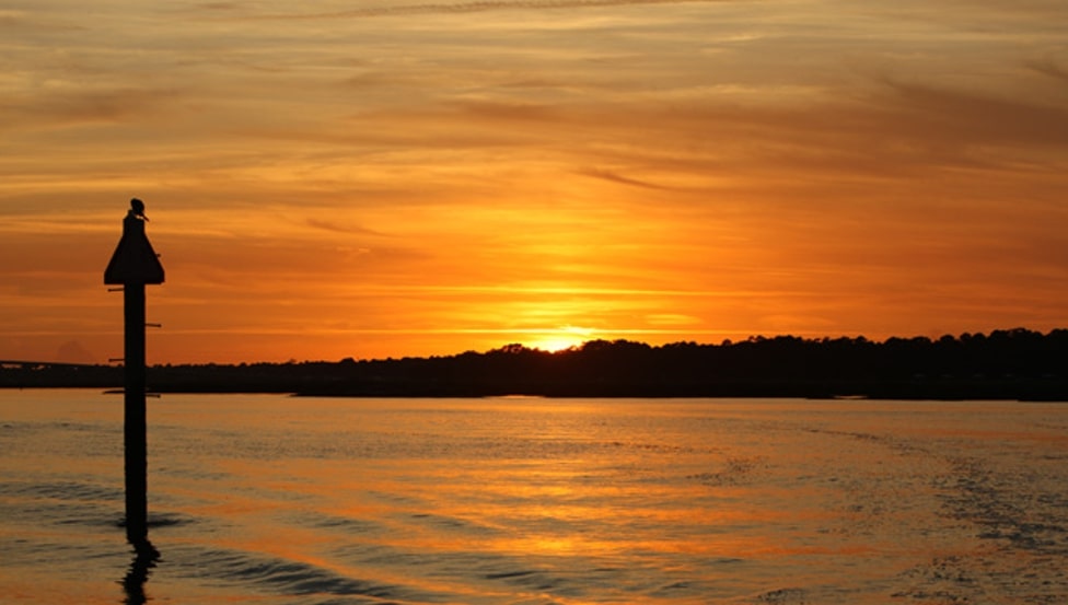 Disney's Hilton Head Island Resort