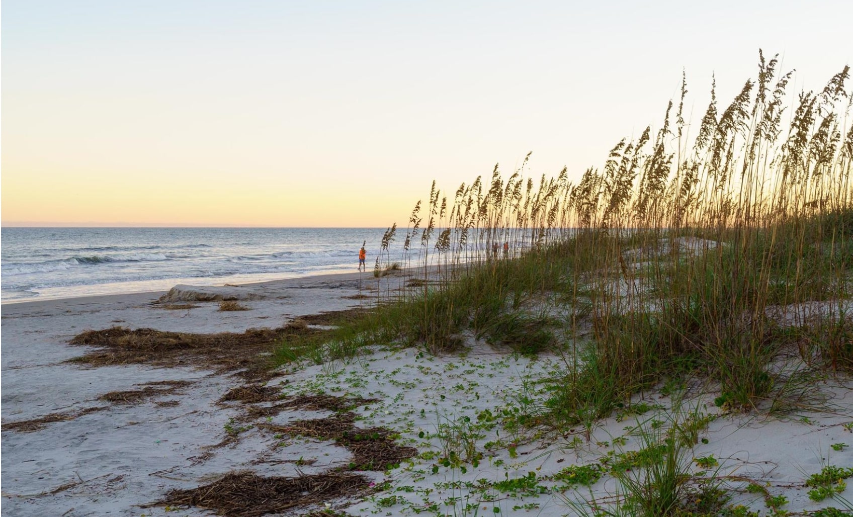 Disney's Hilton Head Island Resort